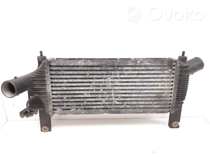 Nissan Navara D40 Chłodnica powietrza doładowującego / Intercooler 14461EB360