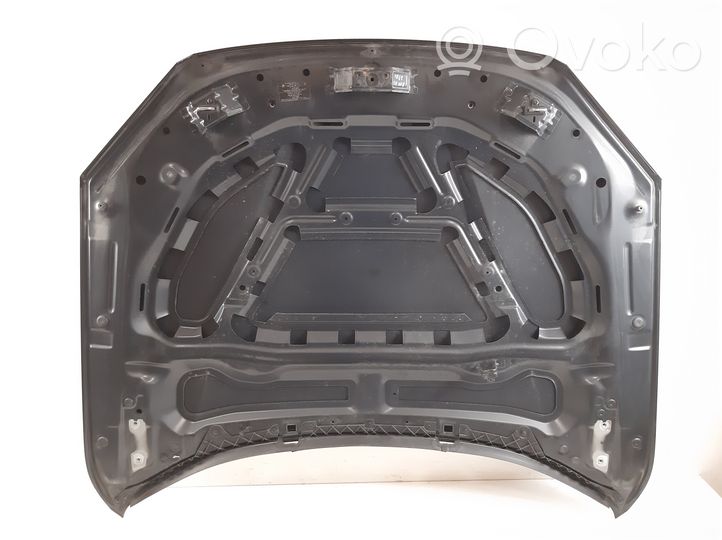 BMW X1 E84 Engine bonnet/hood 