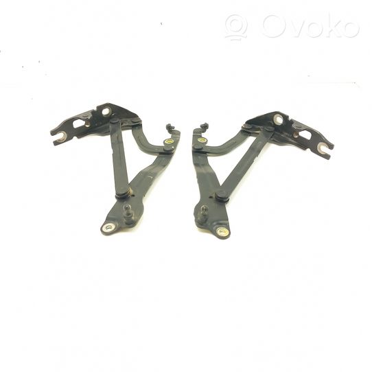 Chevrolet Epica Tailgate/trunk/boot hinge 06D12