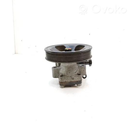 Hyundai Santa Fe Power steering pump 