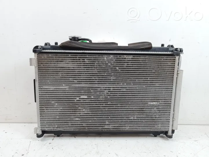 Suzuki Kizashi Kit Radiateur 2220005470