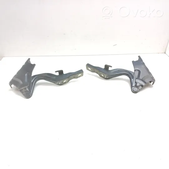 Hyundai Santa Fe Engine bonnet/hood hinges 