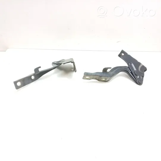 Hyundai Santa Fe Engine bonnet/hood hinges 