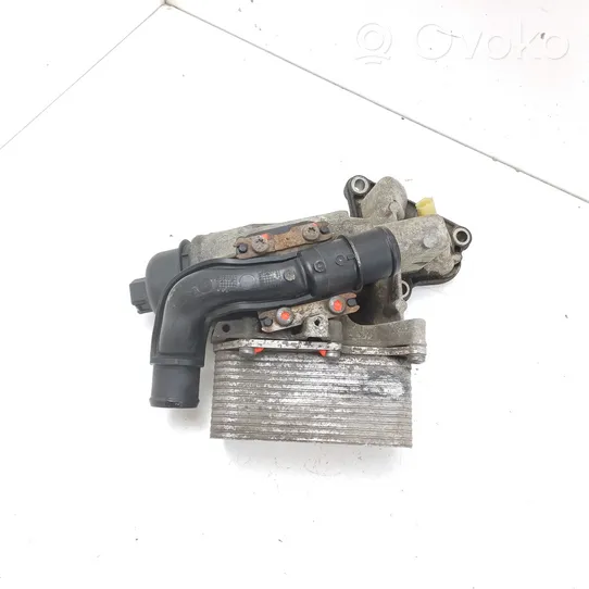 Nissan NV400 Supporto di montaggio del filtro dell’olio 8201005241