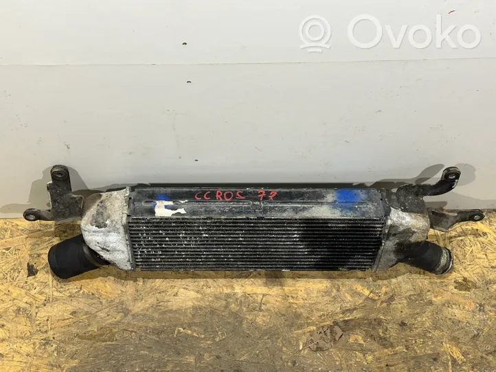 Citroen C-Crosser Radiatore intercooler 