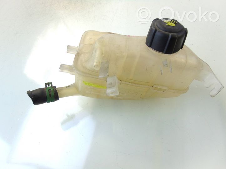 Renault Scenic III -  Grand scenic III Coolant expansion tank/reservoir 217100005R