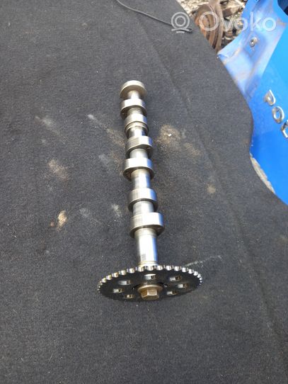 Volkswagen Polo IV 9N3 Camshaft 03D109571L