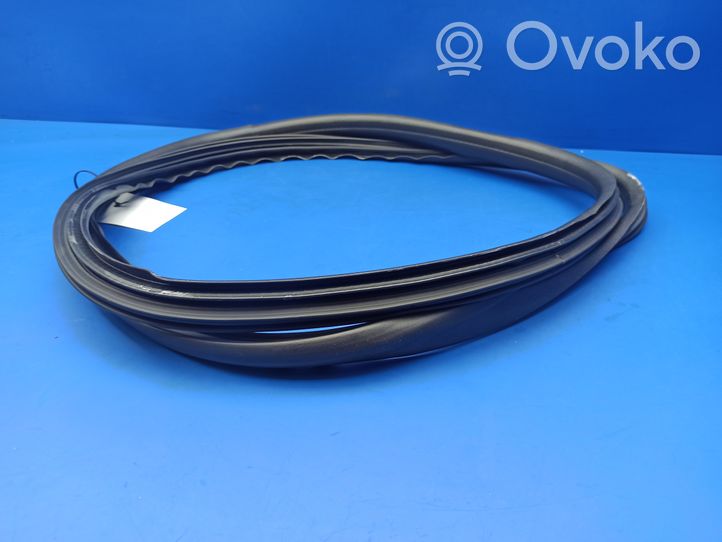 Volvo S40 Front door rubber seal S40