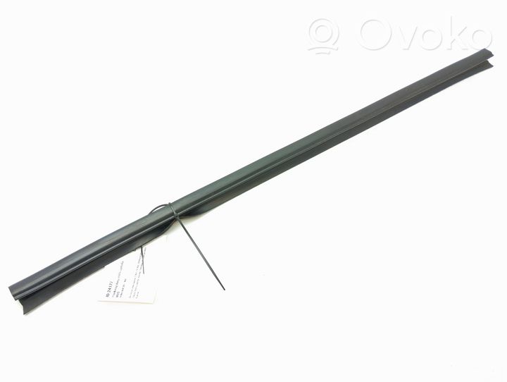 Volvo S60 Front door glass trim molding 