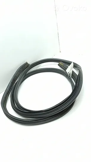 Nissan Primastar Front door rubber seal 