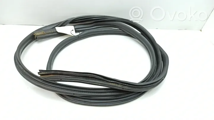 Nissan Primastar Front door rubber seal 