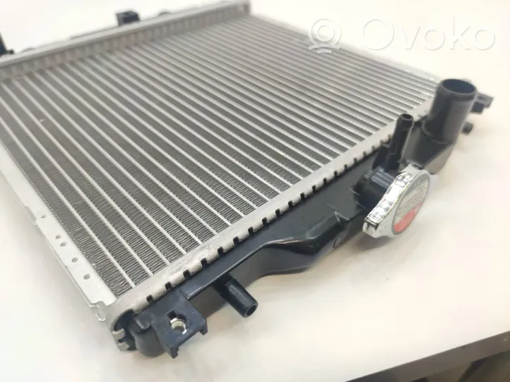 Aixam GTI Радиатор охлаждающей жидкости 1102