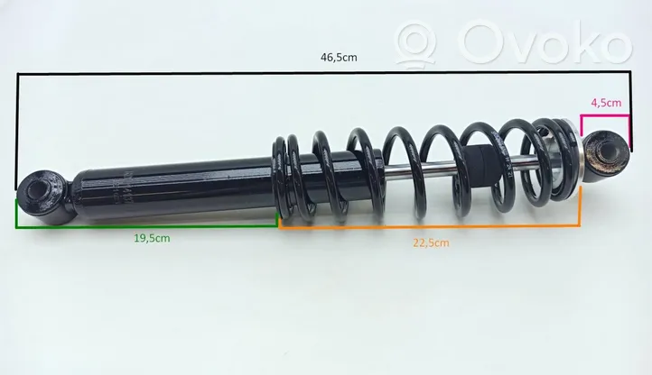 Ligier JS 50 Stoßdämpfer mit Federbein hinten 1413795