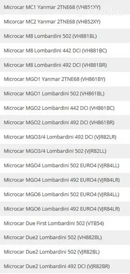 Microcar MC Oro filtras 01.17.01