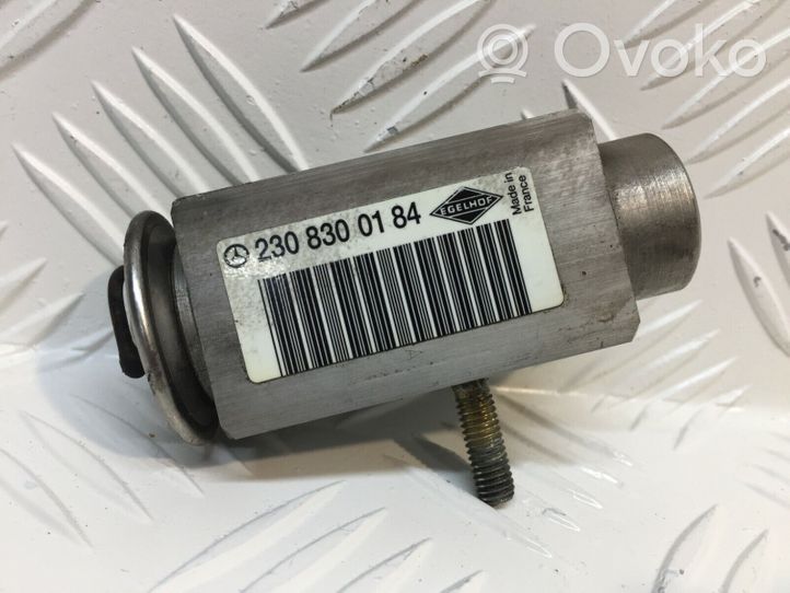 Mercedes-Benz E W211 Valvola ad espansione dell’aria condizionata (A/C) 2308300184