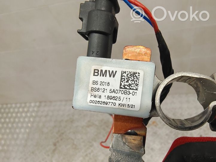 BMW 1 F40 Minusinis laidas (akumuliatoriaus) 5A070B3