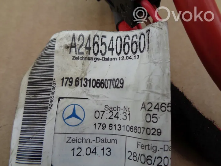 Mercedes-Benz B W246 W242 Pliusinis laidas (akumuliatoriaus) A2465406607