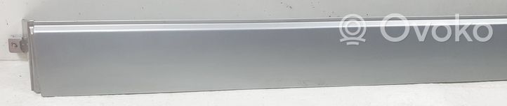 Volkswagen Multivan T5 side skirts sill cover 