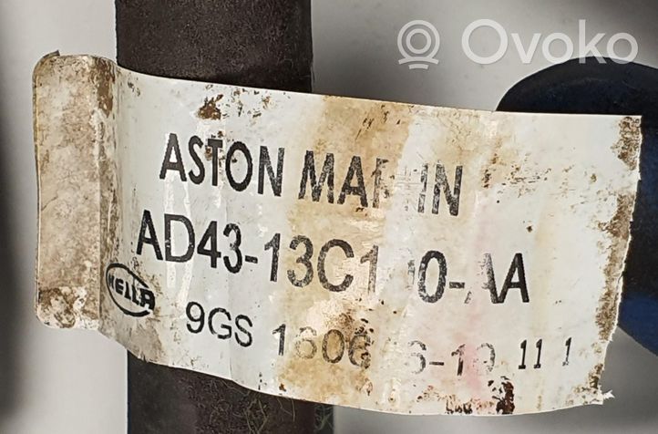 Aston Martin Rapide Облицовка (облицовки) стеклоочистителей AD43-13C100-AA