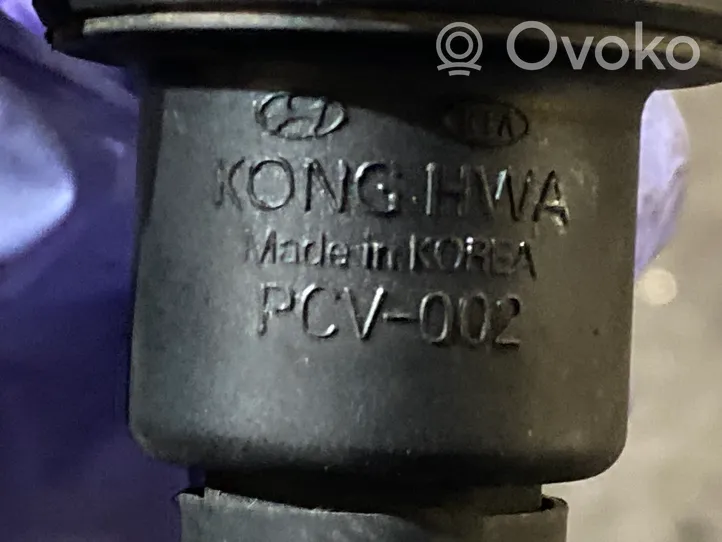 KIA Sportage Vakuumo vožtuvas PCV002