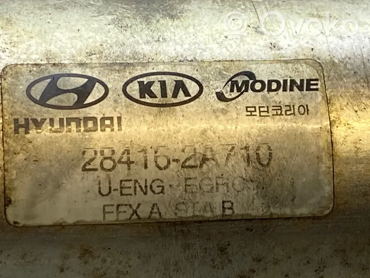 KIA Ceed EGR-venttiili/lauhdutin 284162A710