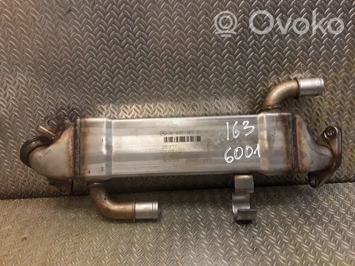 Mercedes-Benz ML W163 Valvola di raffreddamento EGR 6121420079