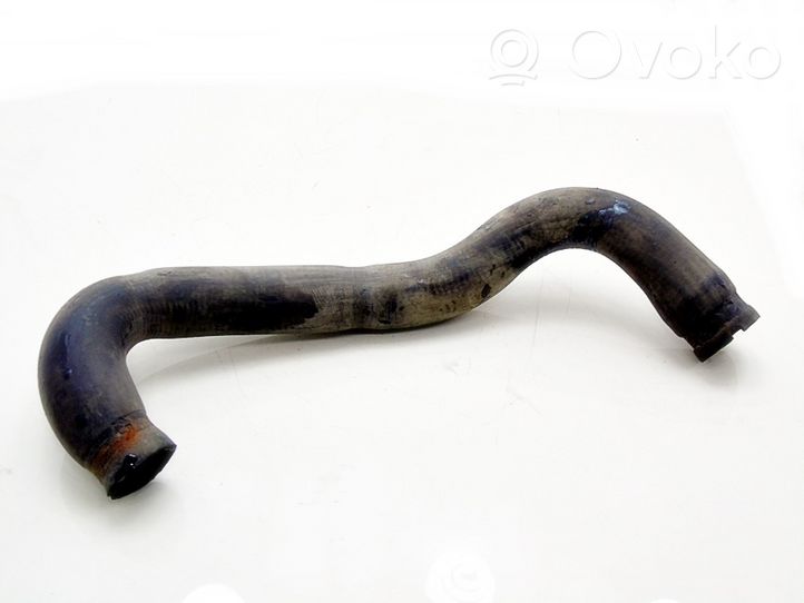 Fiat Seicento/600 Engine coolant pipe/hose 