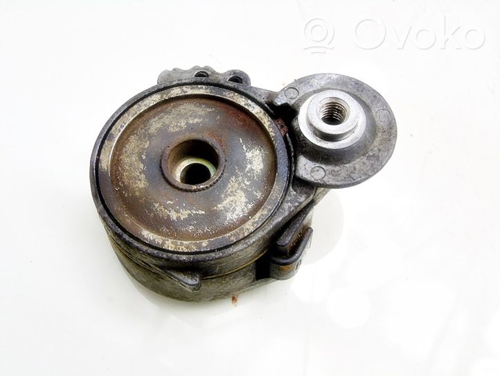 Citroen C5 Napinacz paska alternatora 