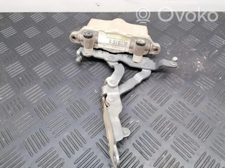 Mercedes-Benz E C207 W207 Engine bonnet/hood hinges 