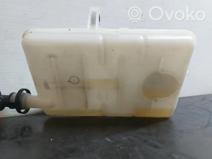 Renault Scenic IV - Grand scenic IV Power steering fluid tank/reservoir 