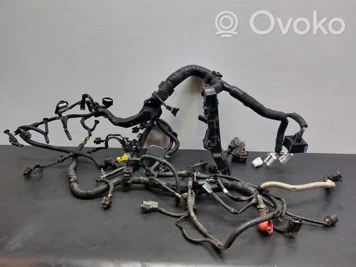 Renault Koleos I Engine installation wiring loom 