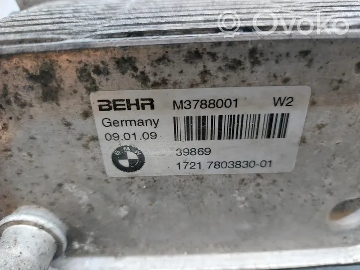 BMW X3 E83 Variklio tepalo radiatorius 