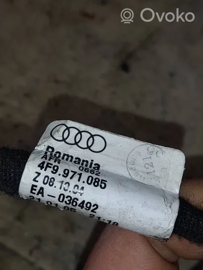 Audi A6 S6 C6 4F Parkošanas (PDC) sensoru vadu instalācija 4F9971085