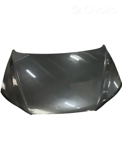 Hyundai Santa Fe Engine bonnet/hood 