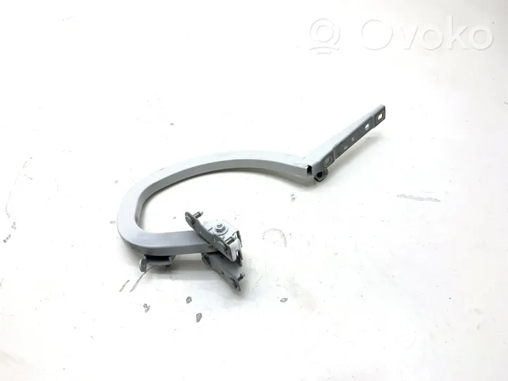 BMW 5 G30 G31 Cerniere del vano motore/cofano 7366397