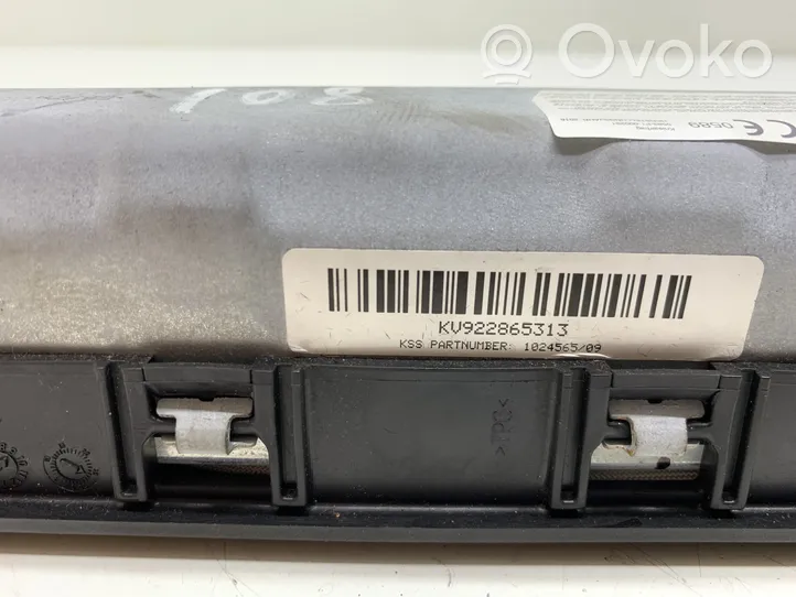 BMW 4 F32 F33 Airbag per le ginocchia 1020134