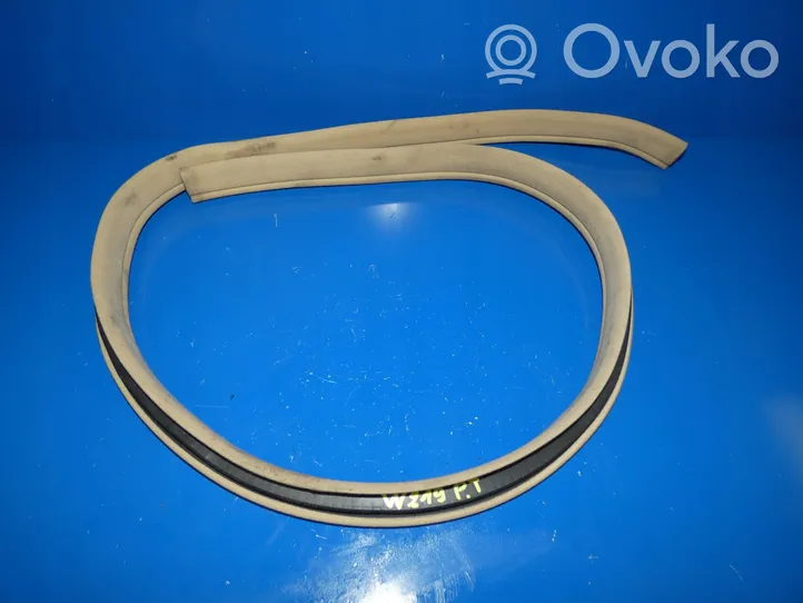 Mercedes-Benz CLS C219 Rear door rubber seal (on body) 