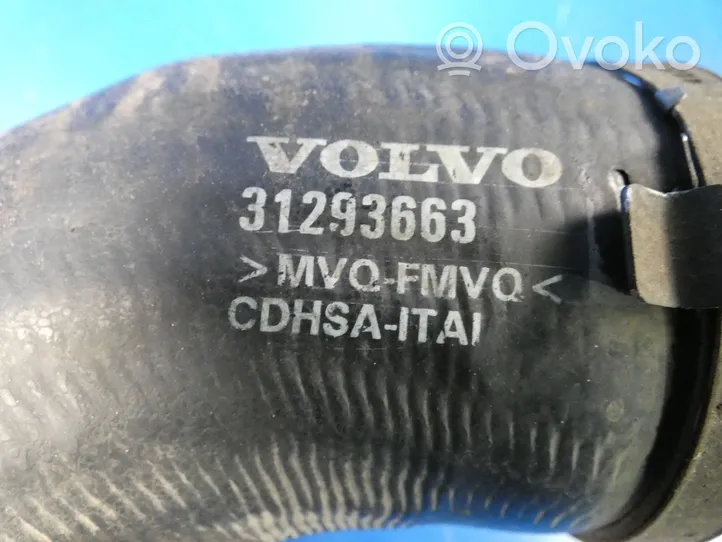 Volvo S60 Välijäähdyttimen letku 31293663