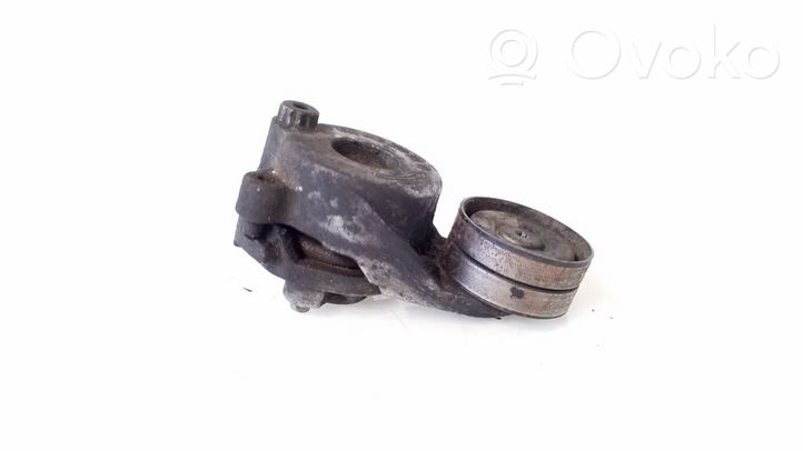 Mercedes-Benz E W211 Napinacz paska wielorowkowego / Alternatora A6422000070