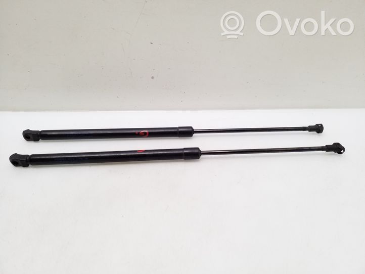 Nissan Qashqai Vérin de capot arrière 904504EA0A