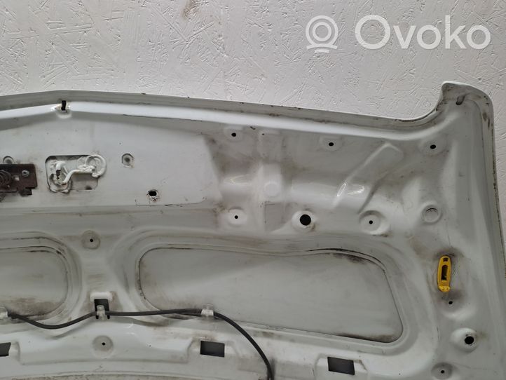 Opel Movano B Motorhaube 