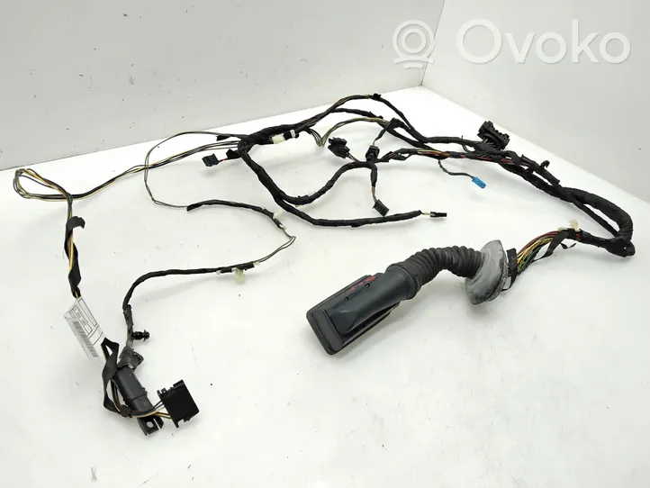 BMW 3 F30 F35 F31 Faisceau de câblage de porte avant 9286209