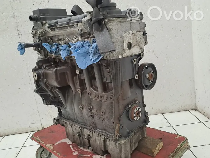 Volkswagen PASSAT CC Engine BWS