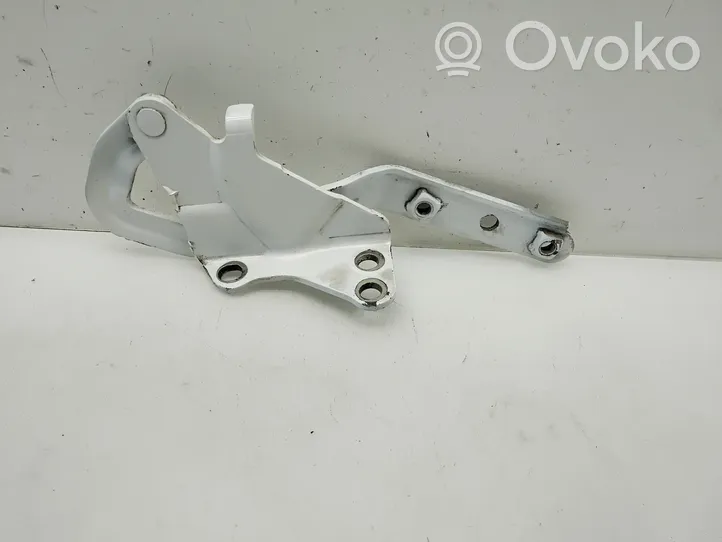 Mercedes-Benz Vito Viano W639 Cerniere del vano motore/cofano A6397500251