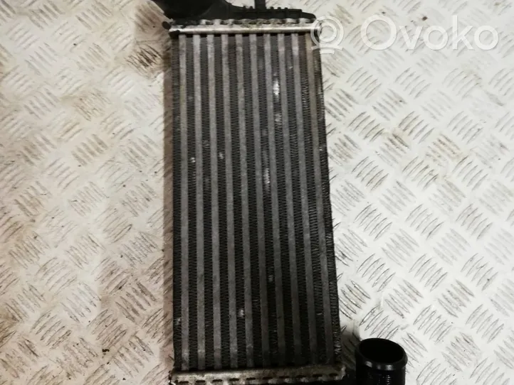 Ford Transit -  Tourneo Connect Radiatore intercooler 