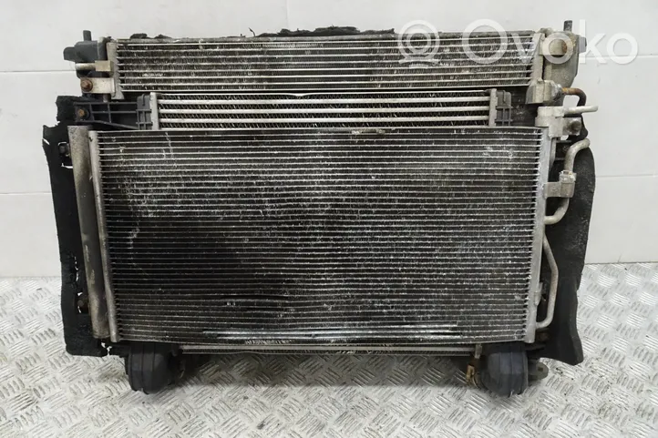 Chevrolet Captiva Kit Radiateur F00S3D2021