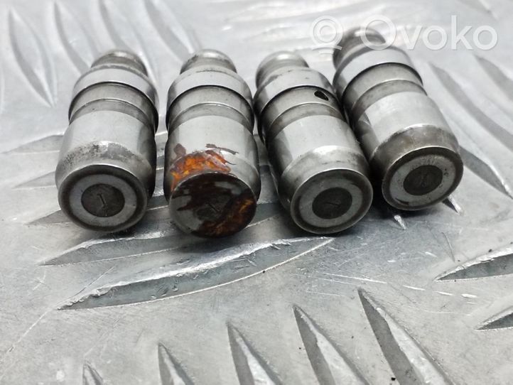 Volkswagen PASSAT B7 Tappets lifter 