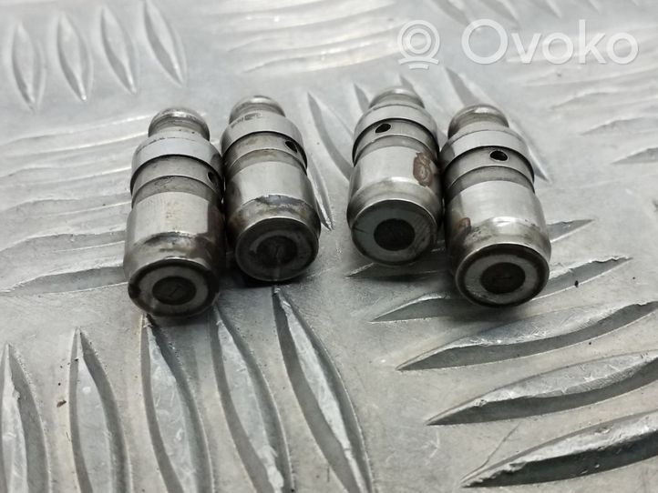 Volkswagen PASSAT B7 Tappets lifter 