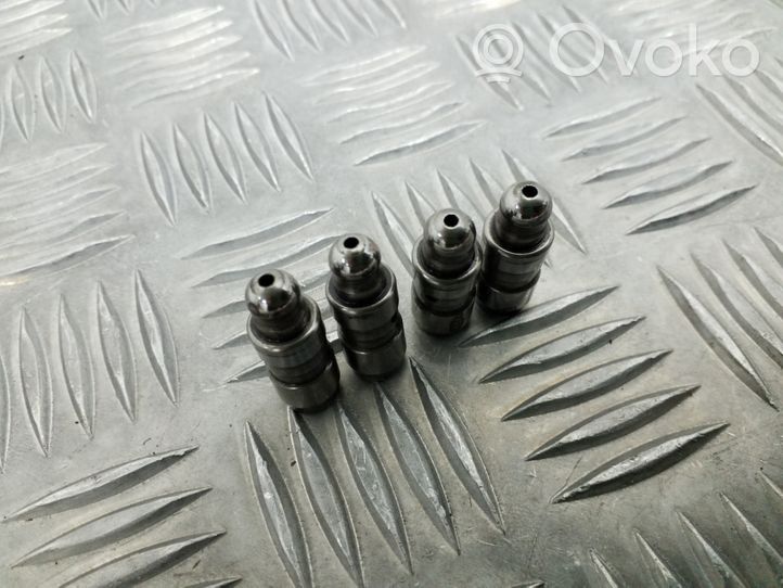 Volkswagen PASSAT B7 Tappets lifter 