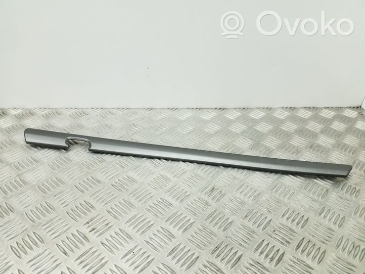 Skoda Octavia Mk2 (1Z) Barra di rivestimento della portiera anteriore 1Z0867460B